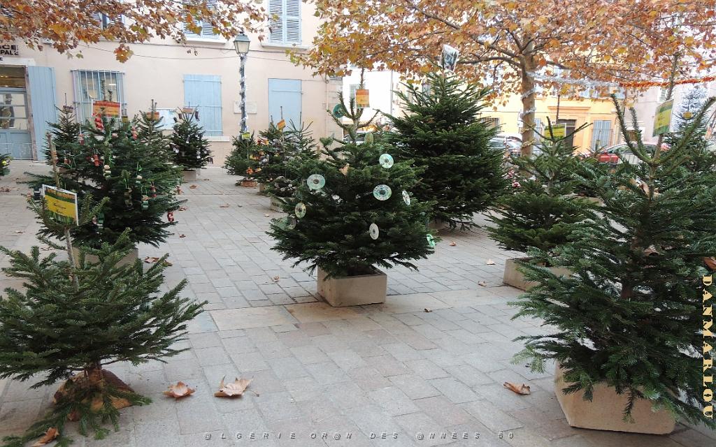 2025 12 09 OULLIOULES PROMENADE (30).jpg